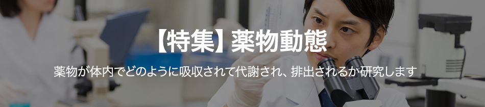 薬物動態