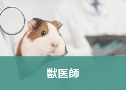 獣医師の特集